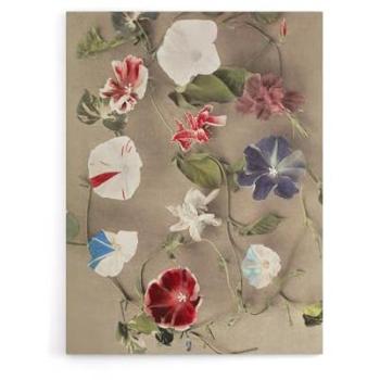 Ogawa Kazumasa Morning Glory Landscape – 18 x 24