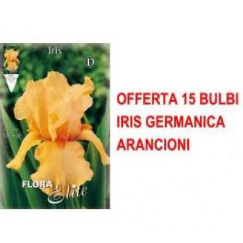 Iris Germanica 15 bulbini arancioni