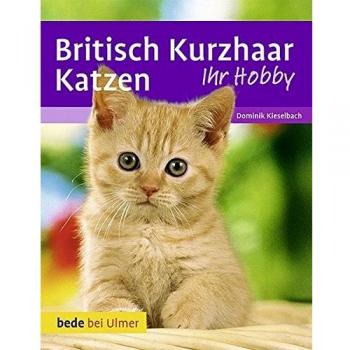 Britisch Kurzhaar Katzen, Manuale di Dominik Kieselbach, Heidi Betz