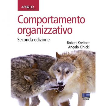 Comportamento organizzativo