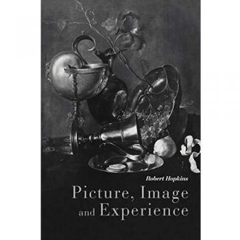 Picture, Image and Experience: A Philosophical Inquiry