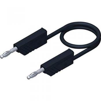 Fil de Mesure PVC Noir 2,5 mm² – 1 m (SKU 934063100)