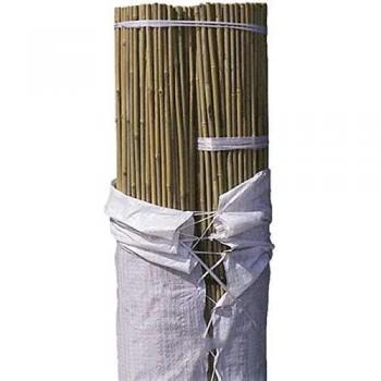 Canne de bambou 150 cm – Kit de 50 tuteurs, 10‑12 mm