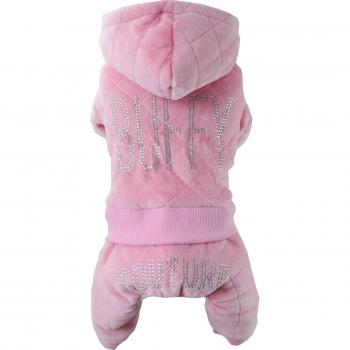 Small Dog Winter Apparel