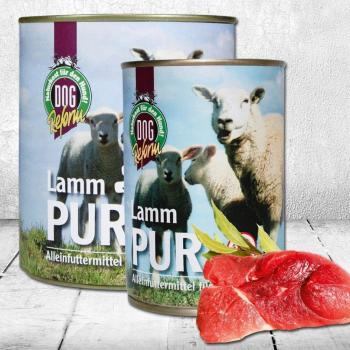 Schecker DOGREFORM Lamm‑Fein – 24 × 820 g getreidesparendes Nassfutter