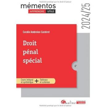 Droit pénal spécial