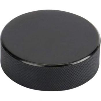 Portable Ice Hockey Puck