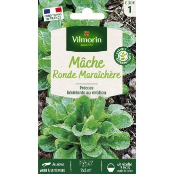 Sachet de Mâche Ronde Maraîchère Vilmorin
