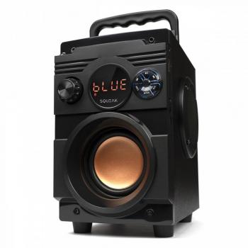 Squeak Enceinte Bluetooth SQ1001