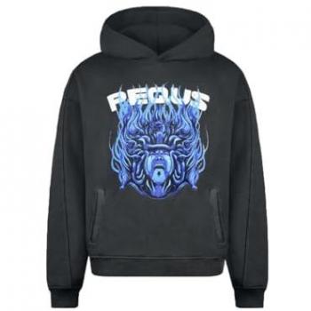 PEQUS Herren Hoodie Medusa Grafik XL