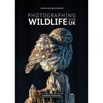 Fotovue Photographing Wildlife In The UK: Where And How To Take Great Wildlife Photographs