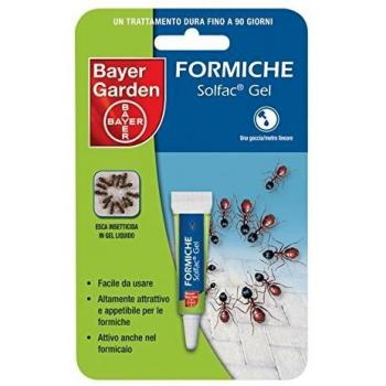 Confezione da 12 Gel Formiche Solfac di Bayer