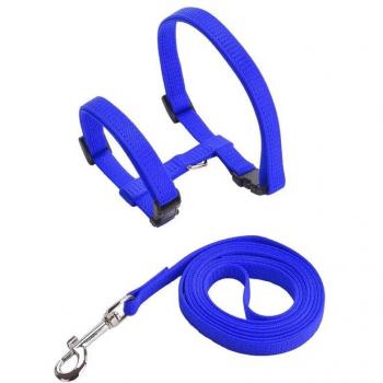 Collier Licou Adaptatif pour Petits Animaux