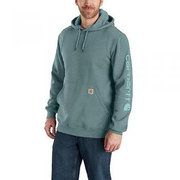 Carhartt Kapuzenpullover SLEEVE LOGO HOODED SWEATSHIRT K288
