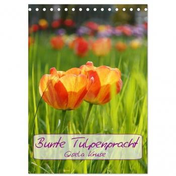 Bunte Tulpenpracht (Tischkalender 2025 DIN A5 hoch) CALVENDO Monatskalender