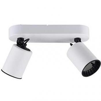 Trio Lighting plafond Pago 2 lampes blanc