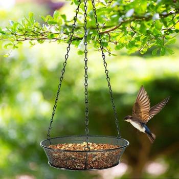 Garden Bird Feeder with Vintage Design and Metal Mesh Tray