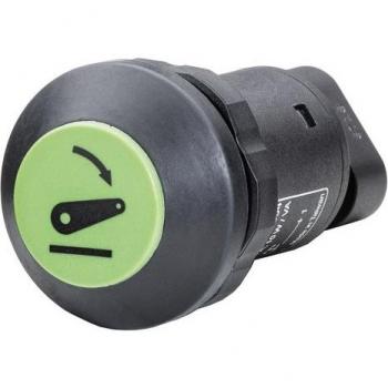 Interrupteur d'abaissement HELLA 6EF 004 406-121