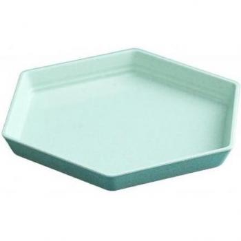 Hexagon Melon Seed Dish
