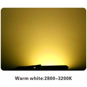 Chip de lámpara LED COB 10W 20W 30W 50W IP65 CA 220V 110V sin controlador 2 unidades