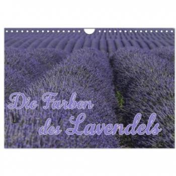 Die Farbe des Lavendels (Wandkalender 2024 DIN A4 quer) CALVENDO Monatskalender