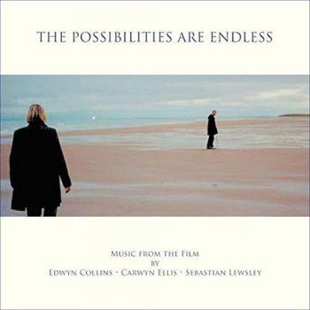 The Possibilities Are Endless (Ost)