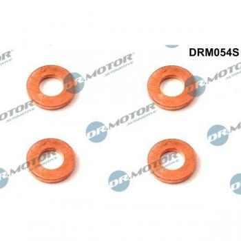 Ford Dr. Motor Burn Plate System DRM054S