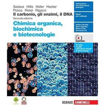 Il carbonio, gli enzimi, il DNA. Chimica organica, biochimica e biotecnologie. Per le Scuole superiori. Con Contenuto digitale