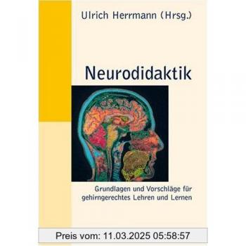 Ulrich Herrmann Neurodidaktik: Grundlagen Und Vorschläge Für Gehirngerechtes Lehren Und Lernen (Beltz Pädagogik)