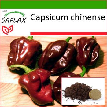 Piment Habanero Chocolat