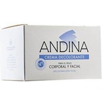 ANDINA CREMA DECOLORANTE 1 ENVASE 100 ML