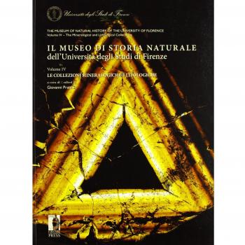 Il museo di storia naturale dell'UniversitÃ  degli Studi di Firenze. Le collezioni mineralogiche e litologiche. Ediz. italiana e inglese