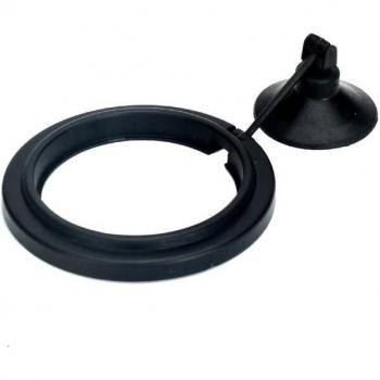 Blue Fish Feeding Ring