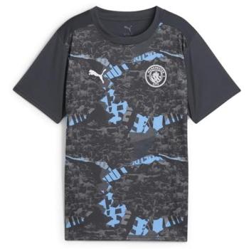 FC Manchester City Youth Game Day Top – Light Gray/Strong Gray