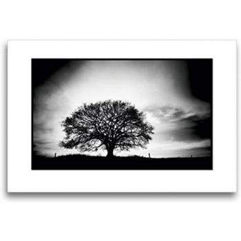 Premium Textil-Leinwand „Emotionale Momente“ – 75 x 50 cm, Eiche (Ingo Gerlach)