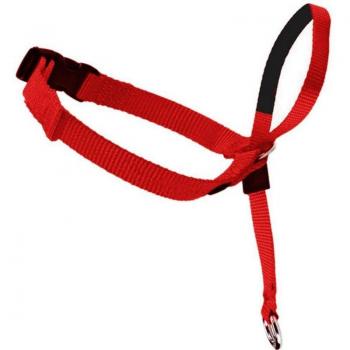 Collier de contrôle pour chien indolore