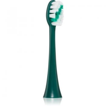 Trozos Reemplazo Sg-C002 para Cepillo Dental SG‑972‑S2/SG‑972‑S5 Verde