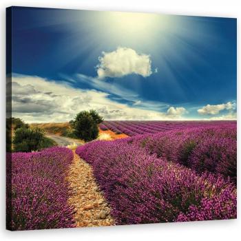 Arte en Lienzo Lavanda y Sol 30x30