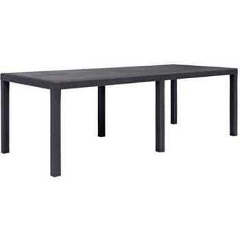 Table de Jardin Marron 220x90x72 cm Plastique Aspect de Rotin Terrasse