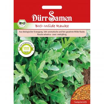 Dürr Rughetta Selvaggia BIO – Seme Naturale