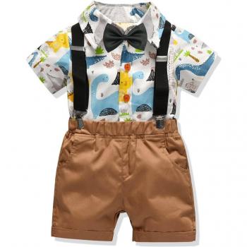 Baby Boys Short Sleeve Cartoon T-Shirt and Shorts Outfit