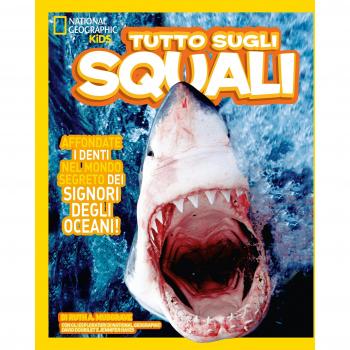 Tutto sugli squali. Ediz. a colori
