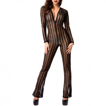 XL Transparenter Arbeitsoverall mit langen Ärmeln