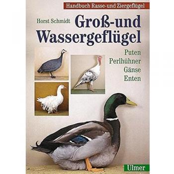 Groß