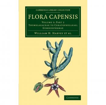 Flora capensis