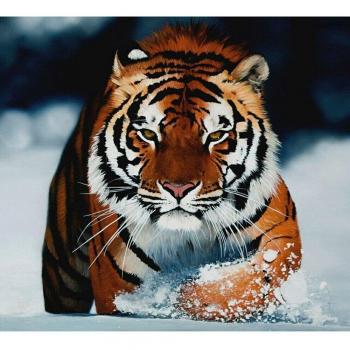 Tigre Manciuriana Punto Croce 20x30 cm