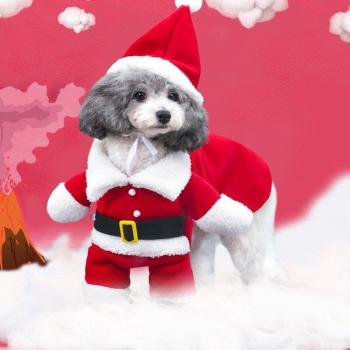 Habit festif 3D Père Noël pour chiot