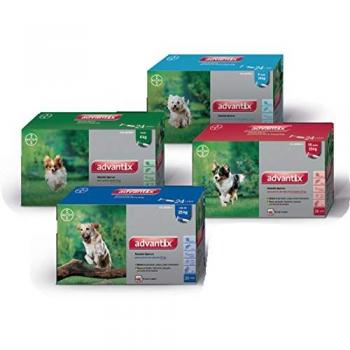 Pipetas antiparasitarias ADVANTIX para perros de 25 a 40 kg. 24 uds envase clínico