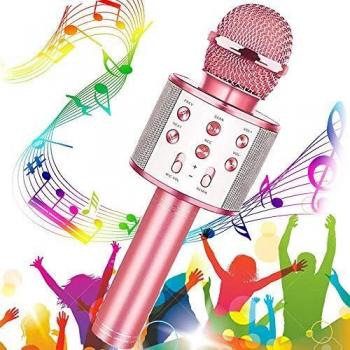 Microfono Karaoke con Altoparlante Integrato