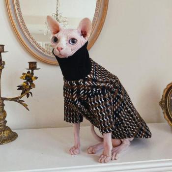 Pull à col roulé pour chat Sphynx